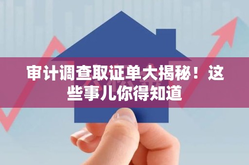 长泰审计调查取证单大揭秘！这些事儿你得知道