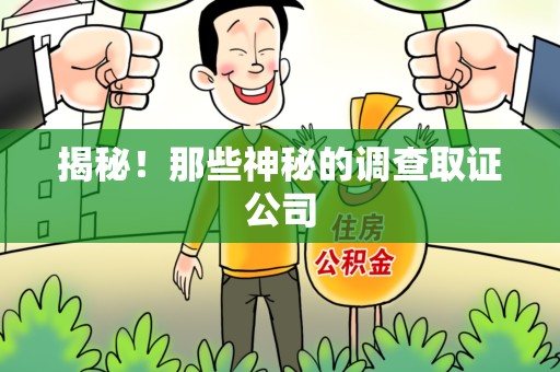 长泰揭秘！那些神秘的调查取证公司