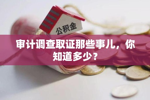 长泰审计调查取证那些事儿，你知道多少？