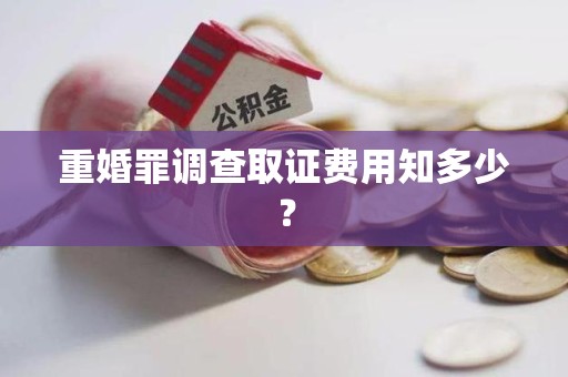 长泰重婚罪调查取证费用知多少？