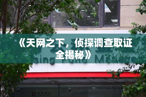 长泰《天网之下，侦探调查取证全揭秘》