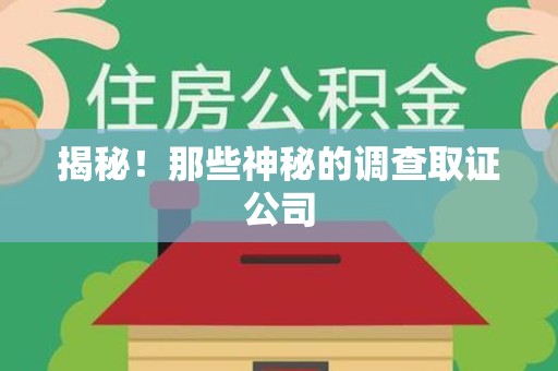 长泰揭秘！那些神秘的调查取证公司