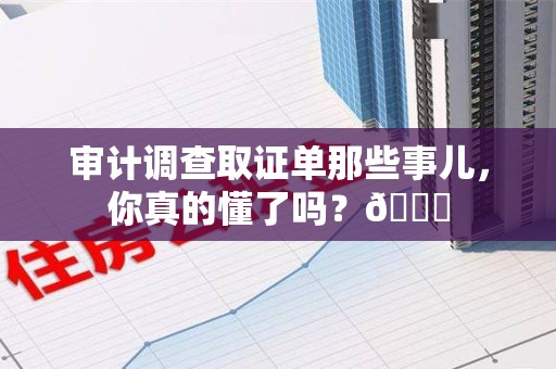 长泰审计调查取证单那些事儿，你真的懂了吗？😎